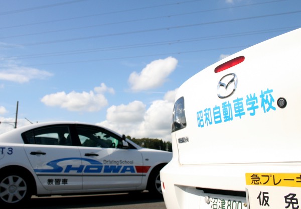 企業情報
